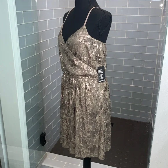 Express Large Pewter Dress - Picture 2 of 6